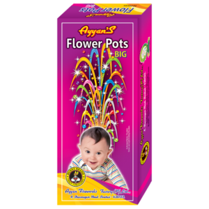 Flower Pots Big	(1 Box)
